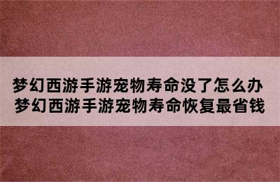 梦幻西游手游宠物寿命没了怎么办 梦幻西游手游宠物寿命恢复最省钱